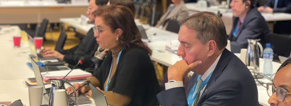 WHO Regional Director’s statement for the Executive Board 156: Health conditions in the occupied Palestinian territory, including east Jerusalem